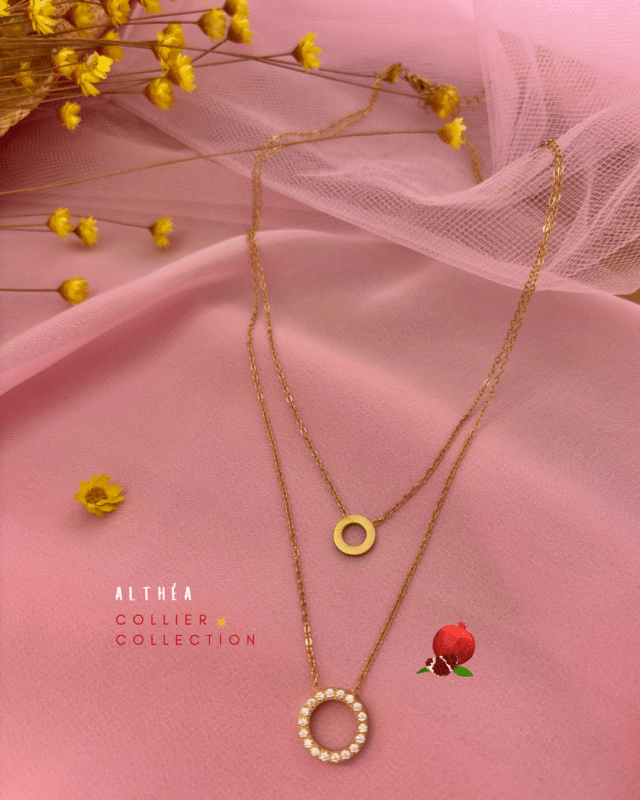 Collier double rang composé de 2 petits ornements ronds  Acier inoxydable et zirconium